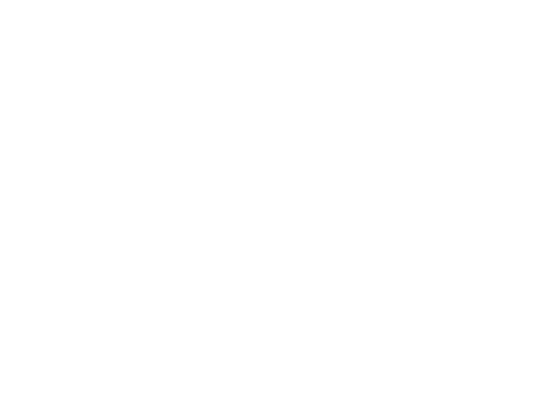 CrossFit Bamberg Logo